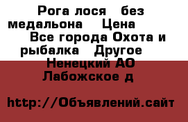 Рога лося , без медальона. › Цена ­ 15 000 - Все города Охота и рыбалка » Другое   . Ненецкий АО,Лабожское д.
